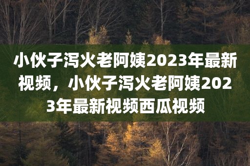 小伙子泻火老阿姨2023年最新视频，小伙子泻火老阿姨2023年最新视频西瓜视频