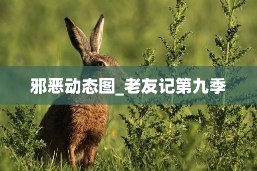 邪恶动态图_老友记第九季