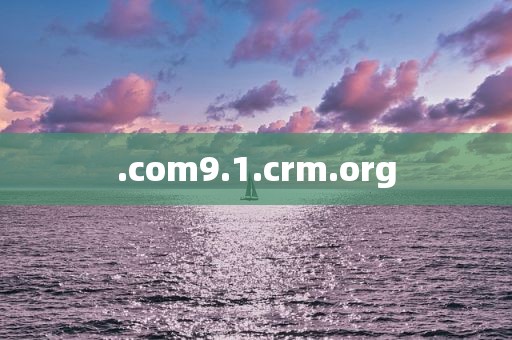 .com9.1.crm.org