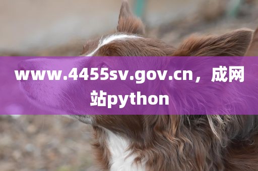 www.4455sv.gov.cn，成网站python