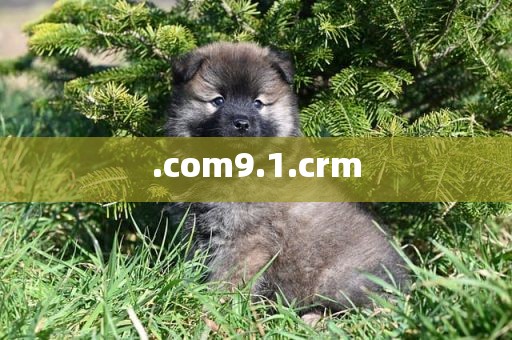 .com9.1.crm