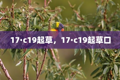 17·c19起草，17·c19起草口