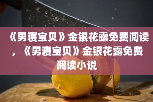 《男寝宝贝》金银花露免费阅读，《男寝宝贝》金银花露免费阅读小说