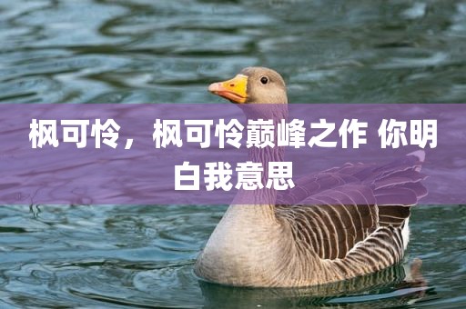 枫可怜，枫可怜巅峰之作 你明白我意思