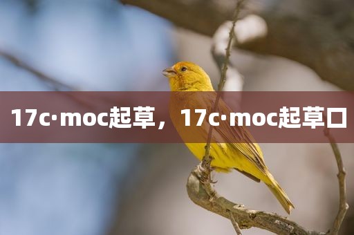 17c·moc起草，17c·moc起草口