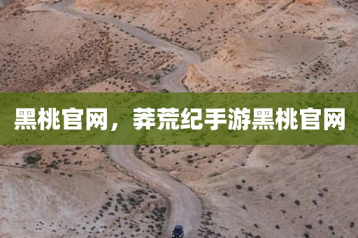 黑桃官网，莽荒纪手游黑桃官网