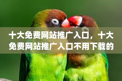 十大免费网站推广入口，十大免费网站推广入口不用下载的