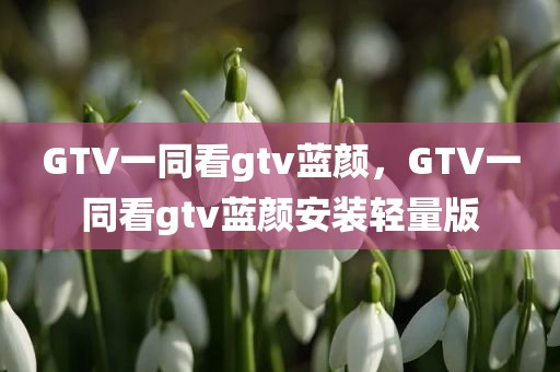 GTV一同看gtv蓝颜，GTV一同看gtv蓝颜安装轻量版