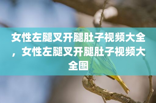 女性左腿叉开腿肚子视频大全，女性左腿叉开腿肚子视频大全图