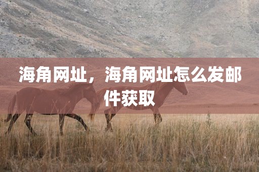 海角网址，海角网址怎么发邮件获取