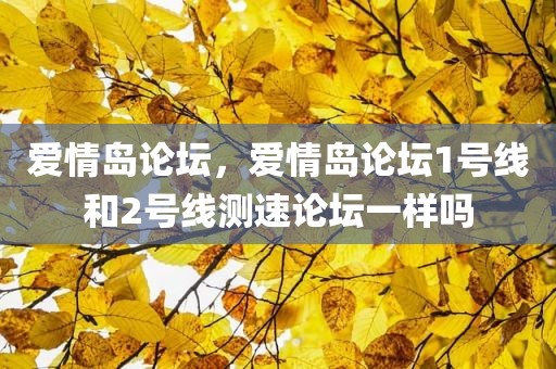 爱情岛论坛，爱情岛论坛1号线和2号线测速论坛一样吗