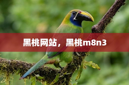 黑桃网站，黑桃m8n3