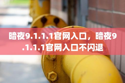 暗夜9.1.1.1官网入口，暗夜9.1.1.1官网入口不闪退