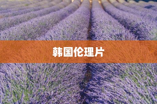 韩国伦理片