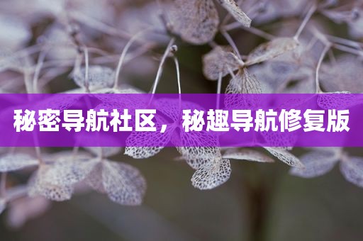 秘密导航社区，秘趣导航修复版