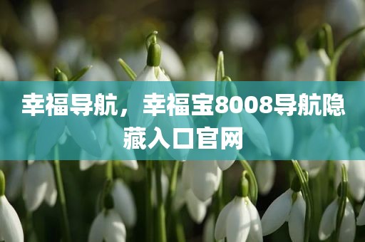 幸福导航，幸福宝8008导航隐藏入口官网