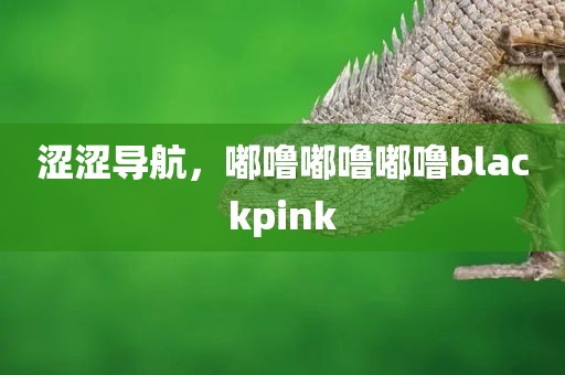 涩涩导航，嘟噜嘟噜嘟噜blackpink