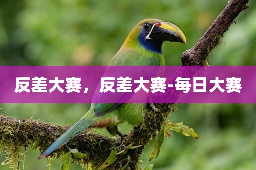 反差大赛，反差大赛-每日大赛