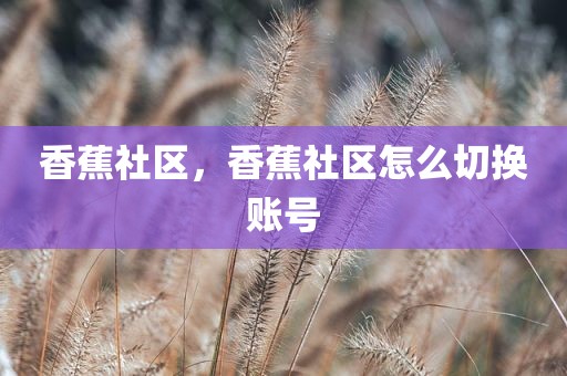 香蕉社区，香蕉社区怎么切换账号