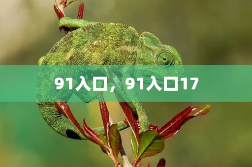 91入口，91入口17