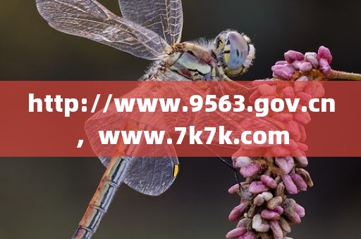 http://www.9563.gov.cn，www.7k7k.com