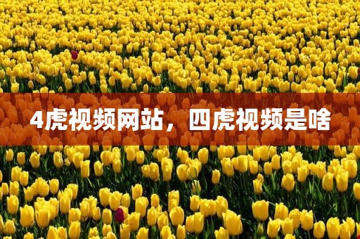 4虎视频网站，四虎视频是啥
