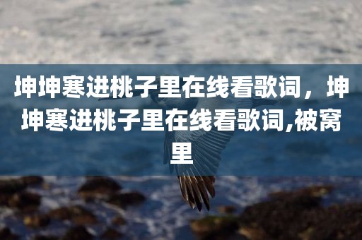 坤坤寒进桃子里在线看歌词，坤坤寒进桃子里在线看歌词,被窝里