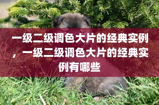 一级二级调色大片的经典实例，一级二级调色大片的经典实例有哪些