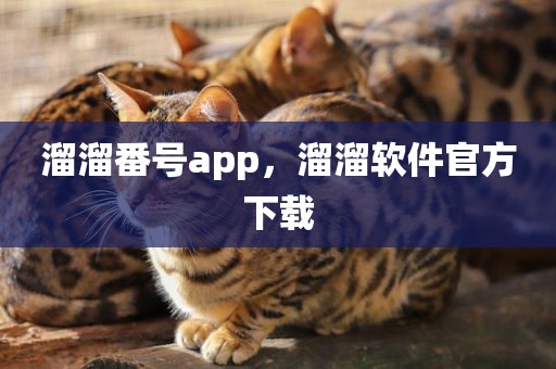 溜溜番号app，溜溜软件官方下载