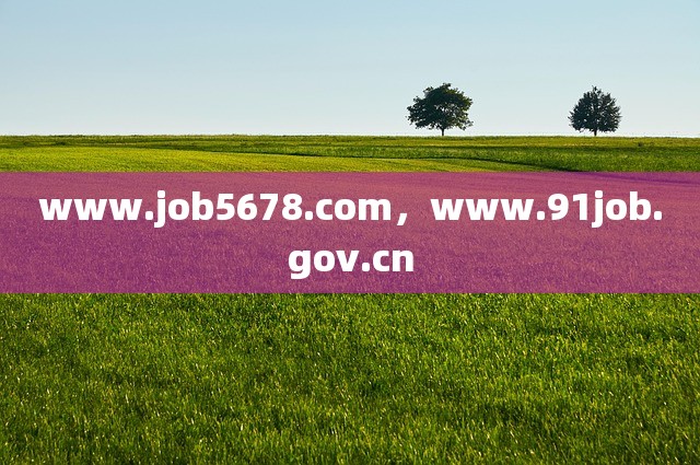 www.job5678.com，www.91job.gov.cn