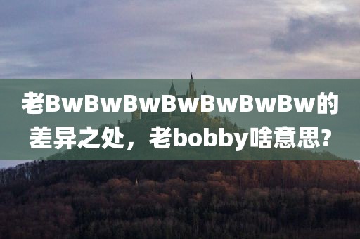 老BwBwBwBwBwBwBw的差异之处，老bobby啥意思?