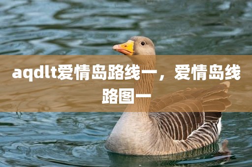 aqdlt爱情岛路线一，爱情岛线路图一