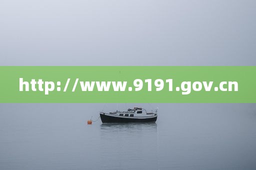 http://www.9191.gov.cn