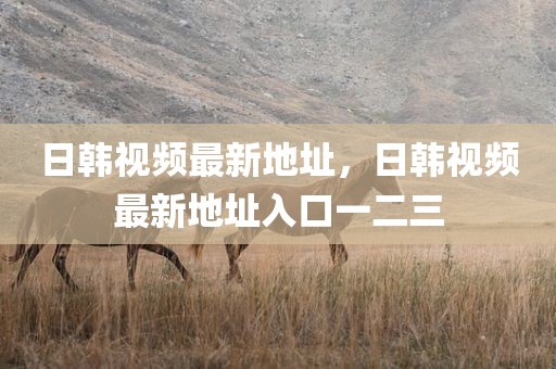 日韩视频最新地址，日韩视频最新地址入口一二三