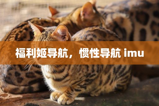 福利姬导航，惯性导航 imu