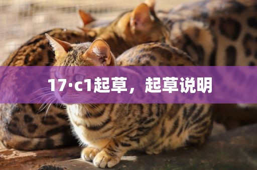 17·c1起草，起草说明