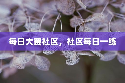 每日大赛社区，社区每日一练