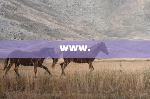 www.