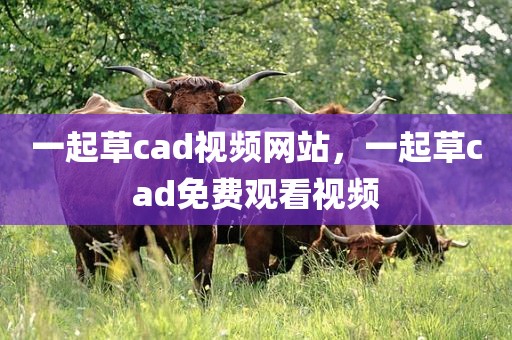 一起草cad视频网站，一起草cad免费观看视频