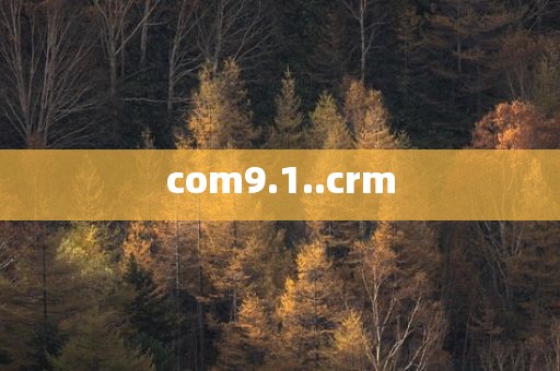 com9.1..crm