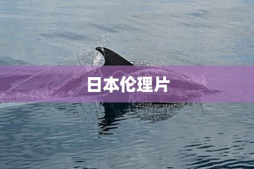 日本伦理片