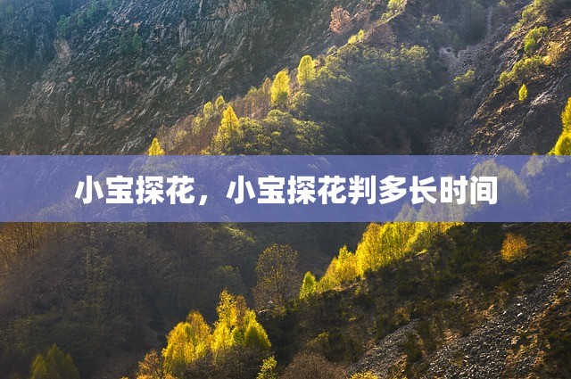 小宝探花，小宝探花判多长时间