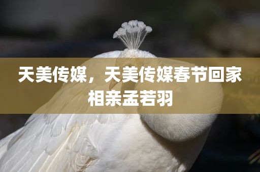天美传媒，天美传媒春节回家相亲孟若羽
