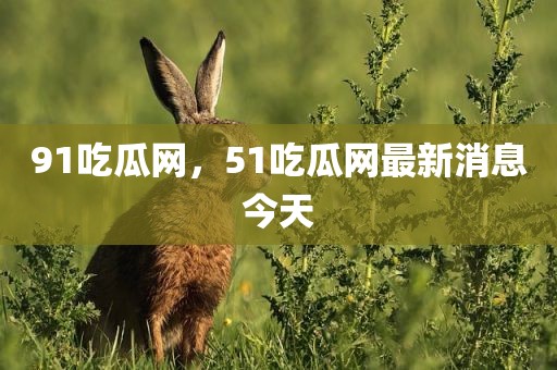 91吃瓜网，51吃瓜网最新消息今天