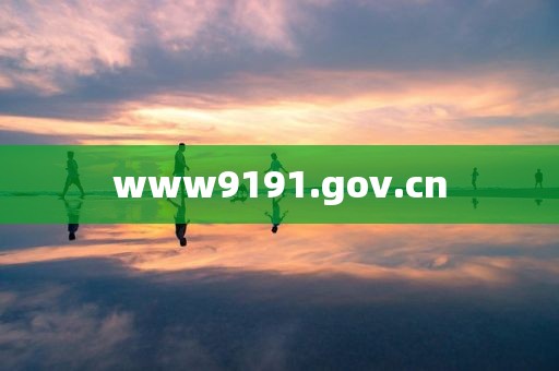 www9191.gov.cn