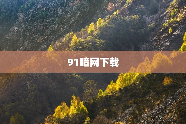91暗网下载