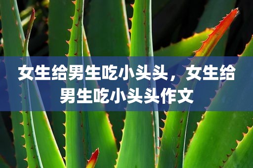 女生给男生吃小头头，女生给男生吃小头头作文