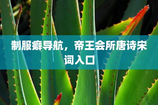 制服癖导航，帝王会所唐诗宋词入口