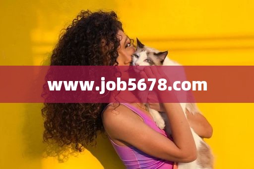 www.job5678.com