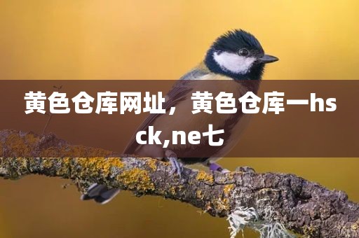 黄色仓库网址，黄色仓库一hsck,ne七